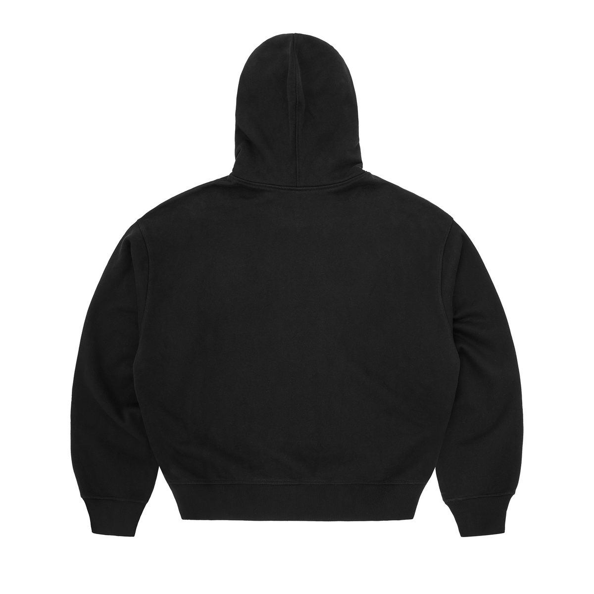 MINI ISLAND ZIP HOODIE [BLACK] – CRTZRTW