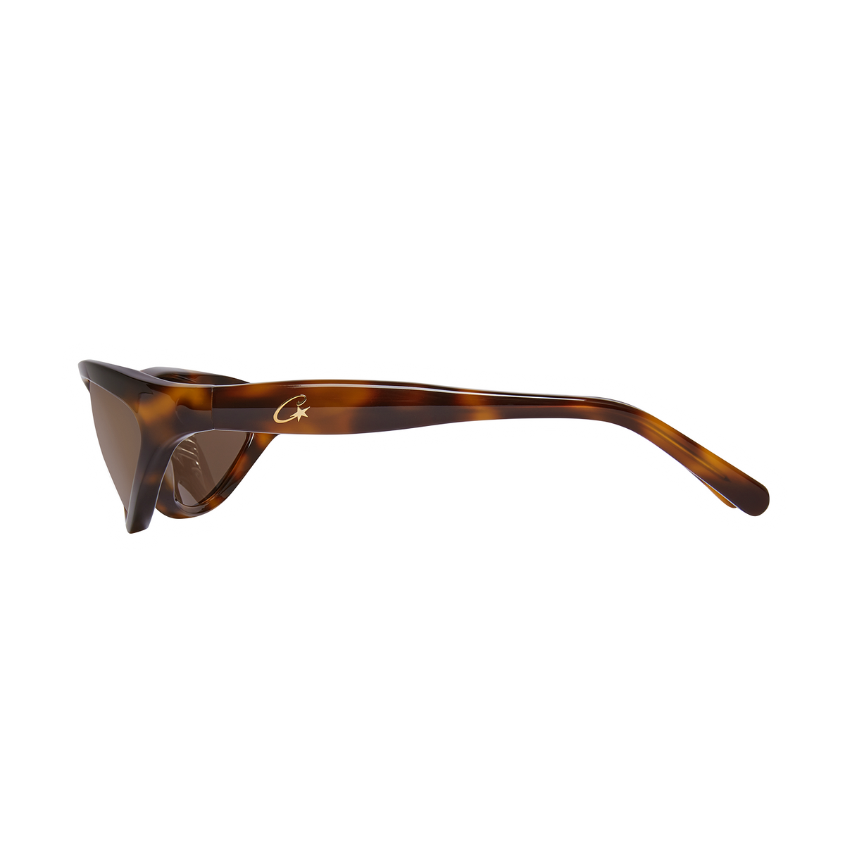 SPORTEIZ SUNGLASSES [TORTOISE] – CRTZRTW