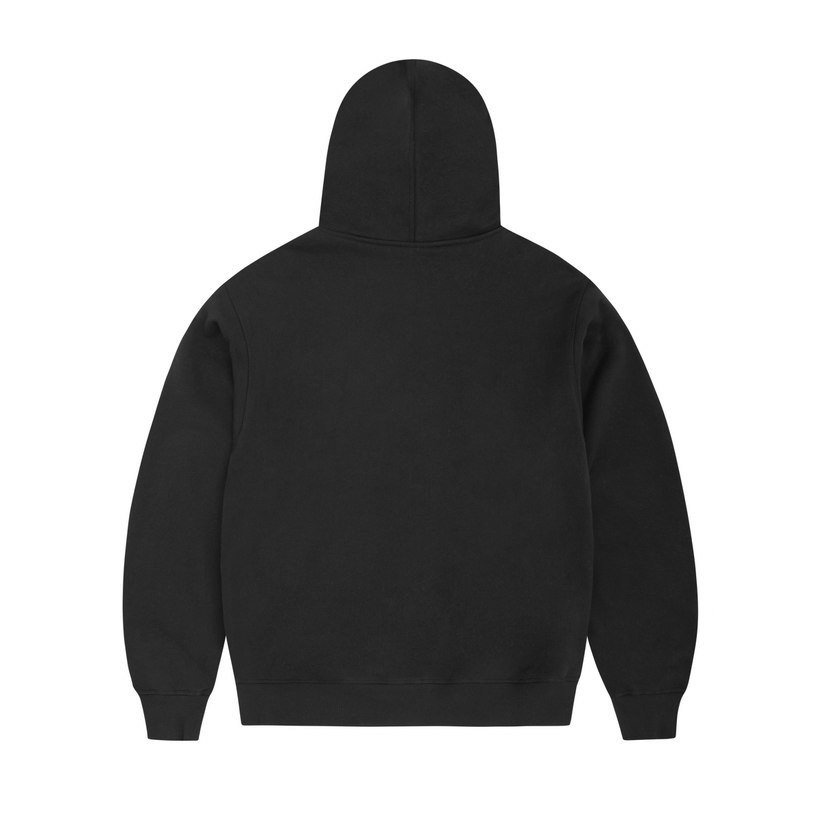 ARCH SHIELD ZIP HOODIE [BLACK]