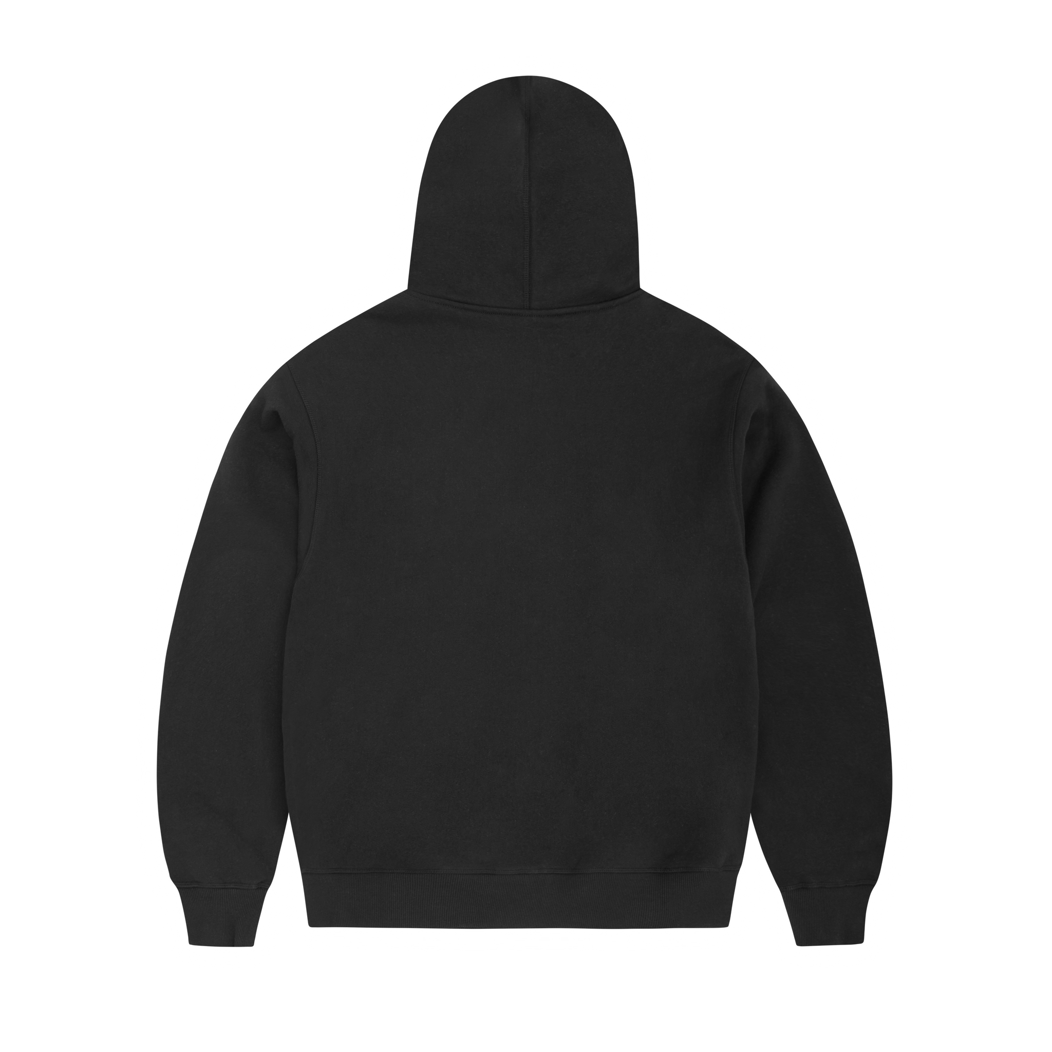 ARCH SHIELD ZIP HOODIE [BLACK]